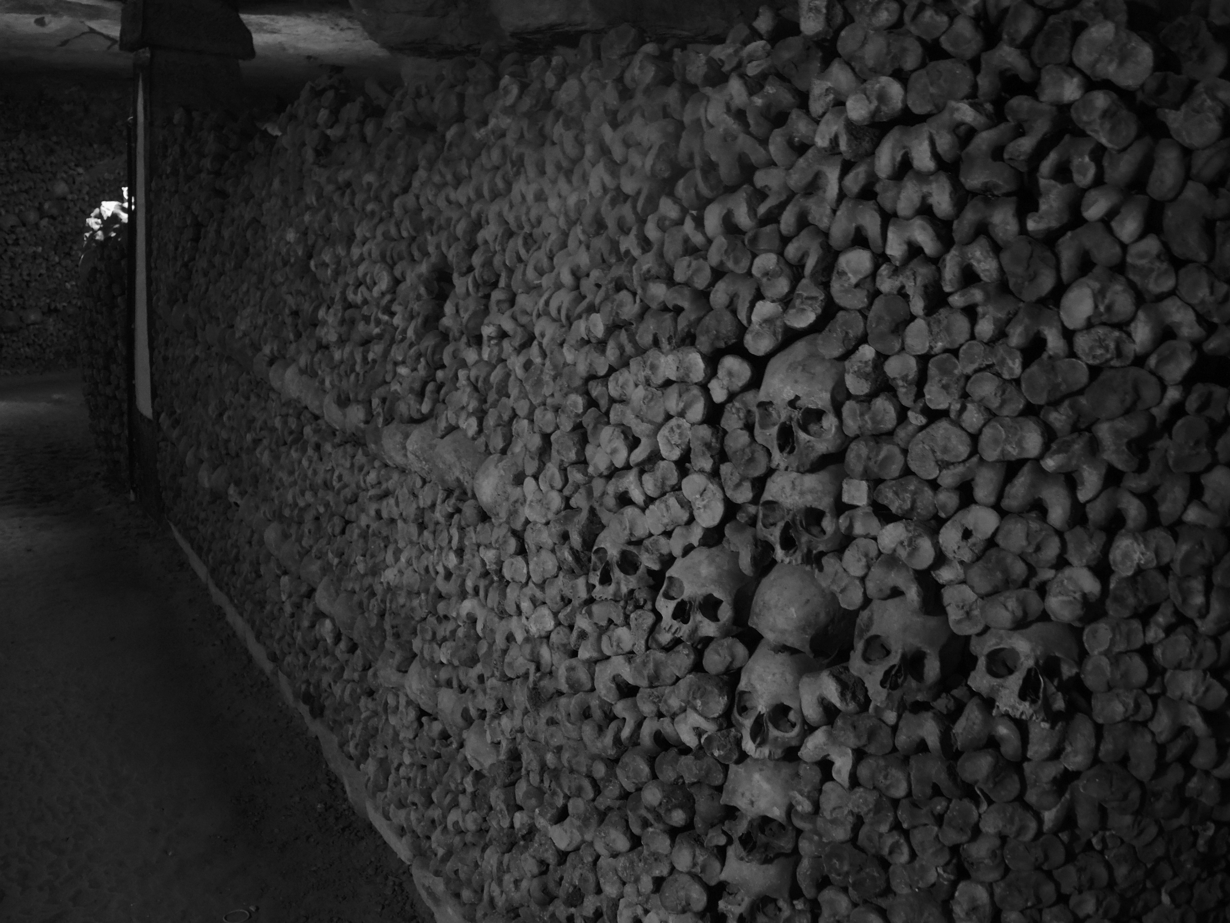 Catacombs bones